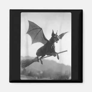 Gothic Doberman Witch Broom Bat Wings Spooky Magnet