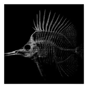 Gothic Fish Skeleton X-Ray Poster