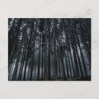 gothic forest postcard