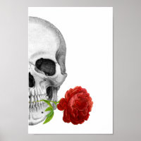 Gothic Half Skull Rose Horror Fantasy Skeleton