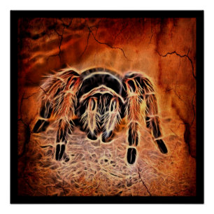 Gothic Halloween creepy crawlies spider Tarantula Poster