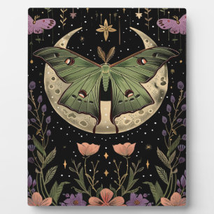 Gothic night sky illustration Plaque