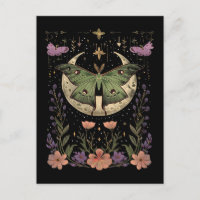 Gothic night sky illustration