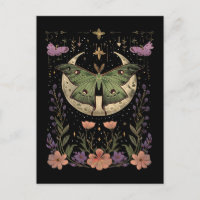 Gothic night sky illustration