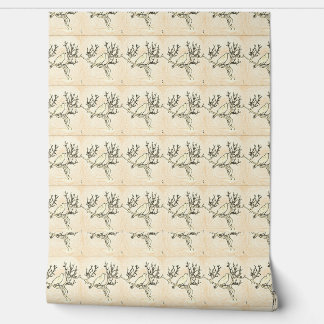 Gothic Poe By Day  Wallpaper