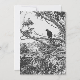 Gothic Raven Card
