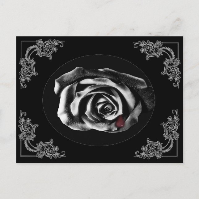 Gothic Vampire Black rose postcards (Front)