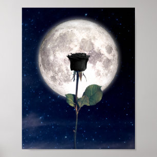 Gothic, Vintage, Victorian, Black Rose, Dark Poster