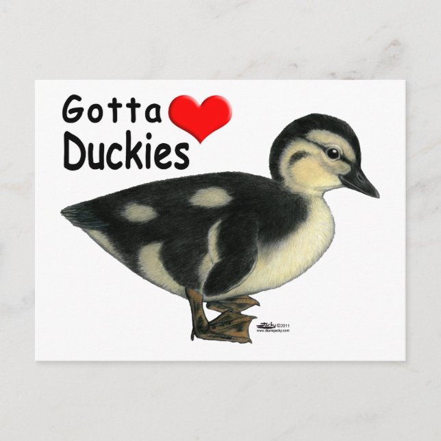 Gotta Love Duckies Postcard (Front)