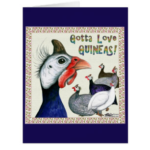 Gotta Love Guineas!