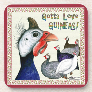 Gotta Love Guineas! Coaster