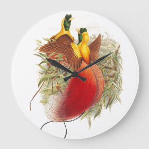 Gould Birds of Paradise Wall Clock