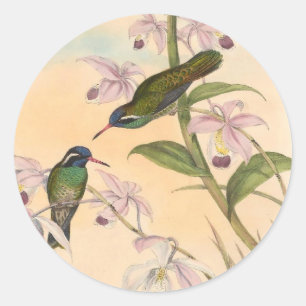 Gould Hummingbirds and Orchids Classic Round Sticker