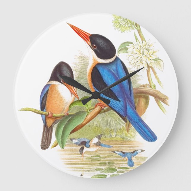 Gould Kingfisher Birds Wall Clock (Front)