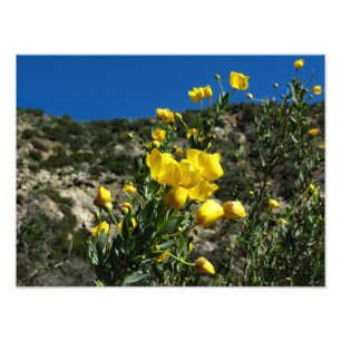 Gould Mesa Trail, CA Photo Print