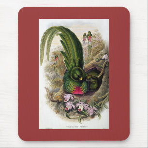 Gould - Quetzal Mouse Pad