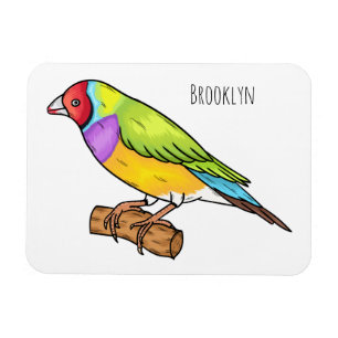 Gouldian finch bird cartoon illustration magnet