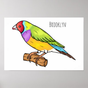 Gouldian finch bird cartoon illustration  poster