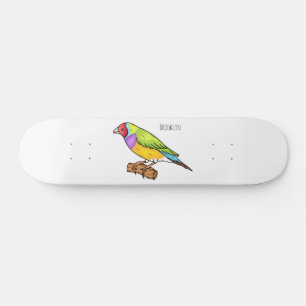 Gouldian finch bird cartoon illustration  skateboard