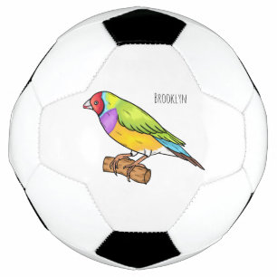 Gouldian finch bird cartoon illustration  soccer ball