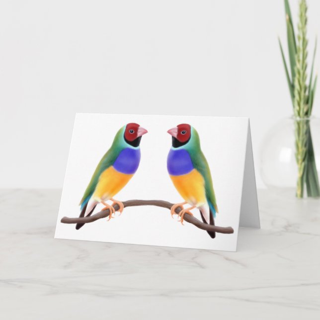 Gouldian Finch Friends Card (Front)