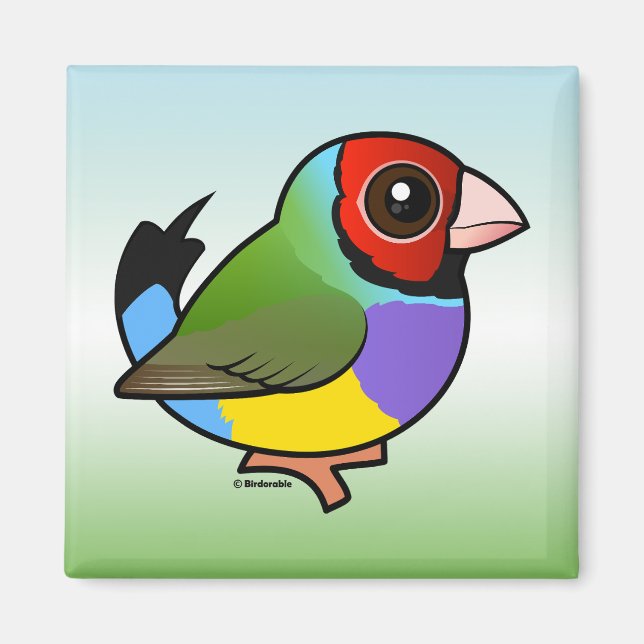 Gouldian Finch Magnet (Front)