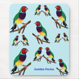 ~ Gouldian Finch ~ Original Art ~ Mouse Pad