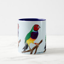 ~ Gouldian Finch ~ Original Art ~