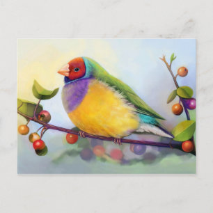 Gouldian finch realistic painting postcard