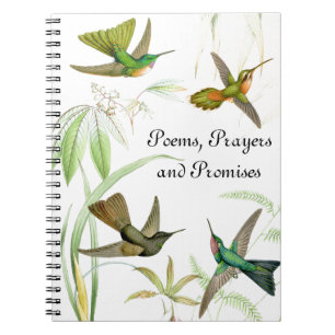 Goulds' Hummingbirds Notebook