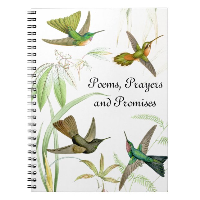 Goulds' Hummingbirds Notebook (Front)