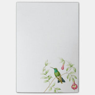 Goulds Hummingbirds Post it Notes