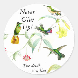 Goulds' Hummingbirds Stickers