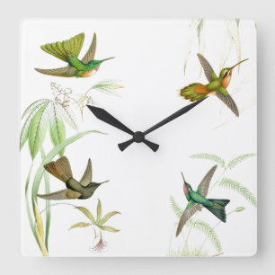 Goulds Hummingbirds Wall Clock