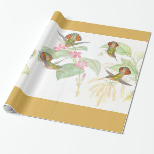 Goulds' Hummingbirds Wrapping Paper