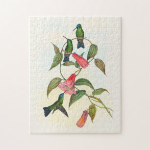 Gould's Wood Nymph by John Gould Jigsaw Puzzle