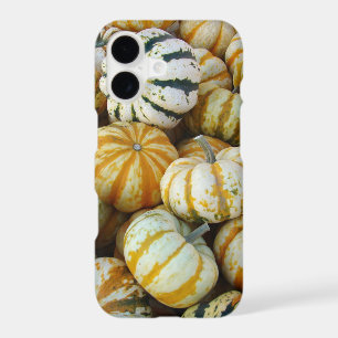 Gourds