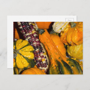 Gourds and Corn Fall Food Photography Postcard