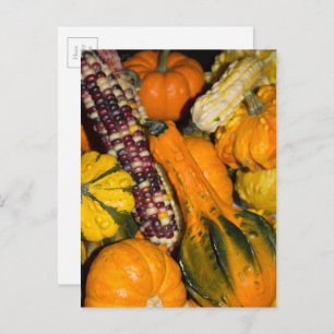 Gourds and Corn Fall Food Photography Postcard