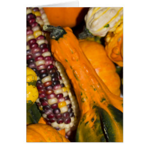 Gourds and Corn Fall Photography Blank-Inside Card