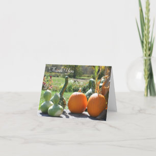 Gourds And Pumkins Nature Thank You Card
