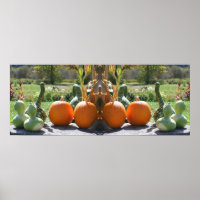 Gourds And Pumpkins Fall Mirror Abstract