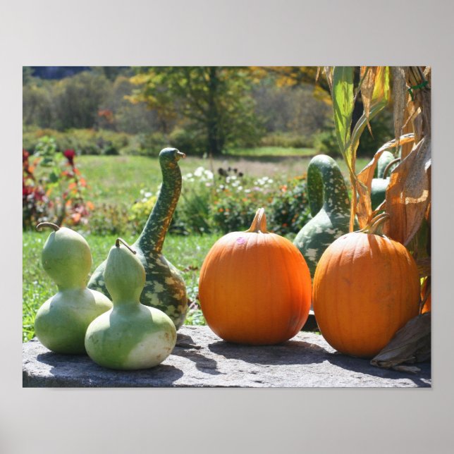 Gourds And Pumpkins Farm Stand 2 Fall Poster (Front)