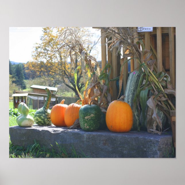 Gourds And Pumpkins Farm Stand Fall Poster (Front)