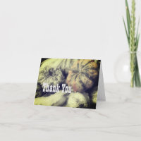 Gourds Black White Partial Colour Thank You Card
