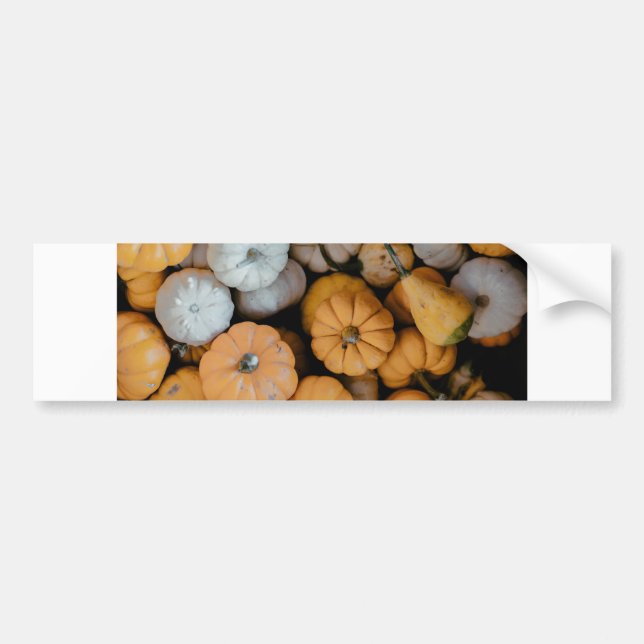 gourds bumper sticker (Front)