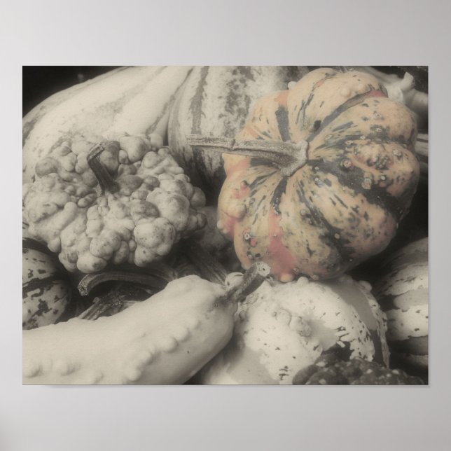 Gourds BW Partial Colour Flower Poster (Front)