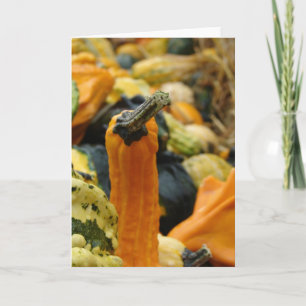 Gourds Card