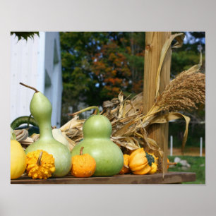 Gourds Corn Stalks Farm Stand Autumn Poster