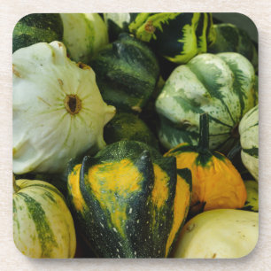 Gourds Galore Coaster